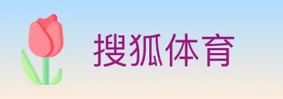 搜狐体育 logo